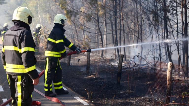 De brandweer had het vuur snel onder controle (foto: Jeroen Stuve/Stuve Fotografie)
