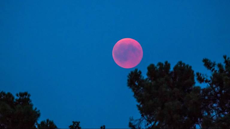 Hij is te zien! Boven de Drunense Duinen in Loon op Zand. (Foto: Jack Brekelmans)