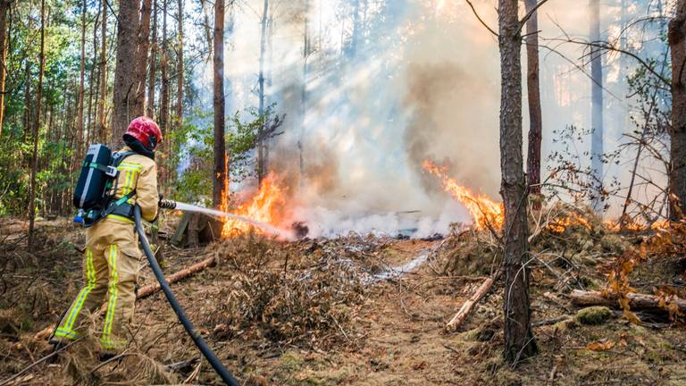 Foto: Sem van Rijssel