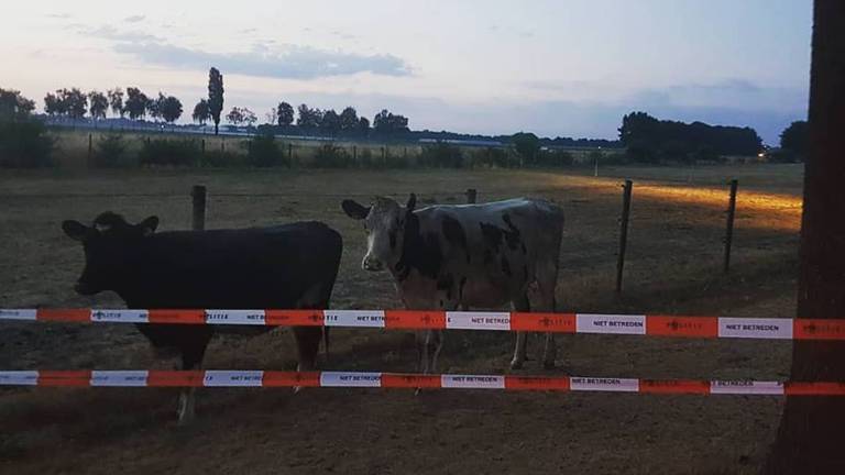 Foto: Politieteam Groene Beemden.