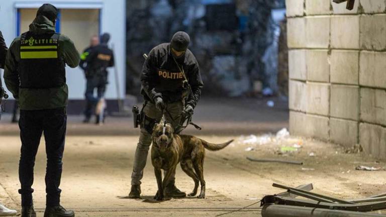 De inval eerder dit jaar (Foto: Mathijs Bertens/Stuve Fotografie).