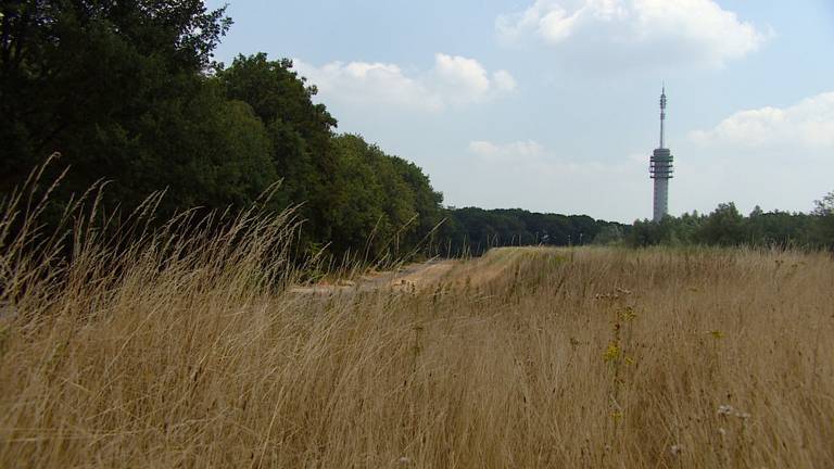 Hier moeten de windturbines komen, op het terrein van vuilstortplaats Attero