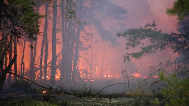 Donderdag woedde er een flinke brand in het gebied. (Foto: Berry van Gaal/SQ Vision Mediaprodukties)