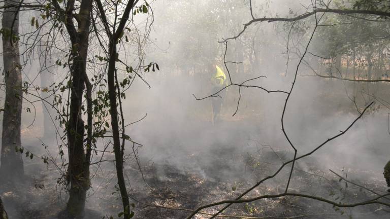 De brandweer slaat de brand in de Loonse en Drunense Duinen uit.