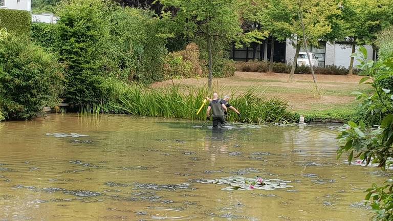 De zoekactie (foto: TVSchijndel).