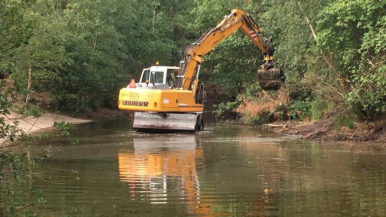 Deze kraan haalt dood hout uit het meer. FOTO: Loonse en Drunense duinen