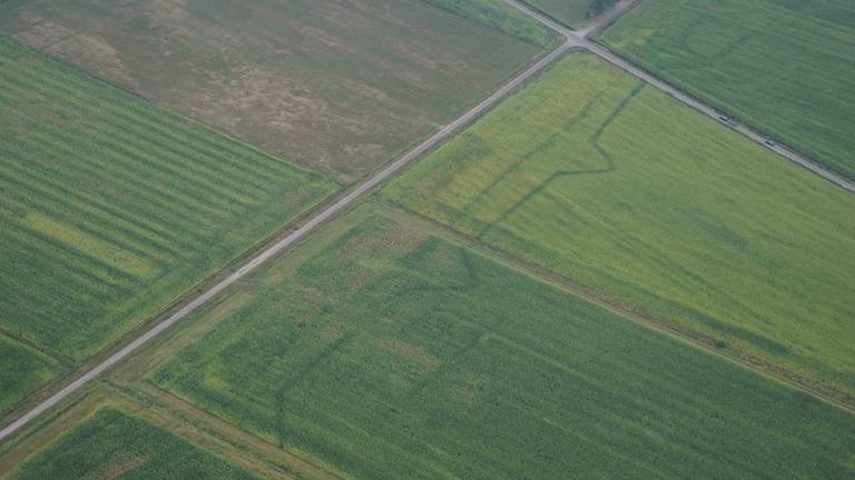 Verdedigingslinies uit 1629 te zien in het Vughts Gemert door de droogte. (Foto: Waterschap Aa en Maas).