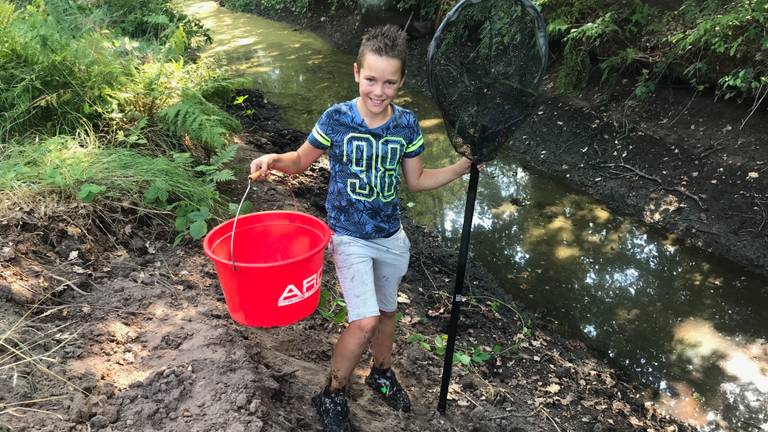 Joey staat deze vakantie iedere dag met zijn schepnet klaar om vissen te redden