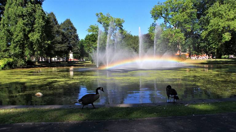 Een mooie dag in Breda (Foto: Henk Voermans).