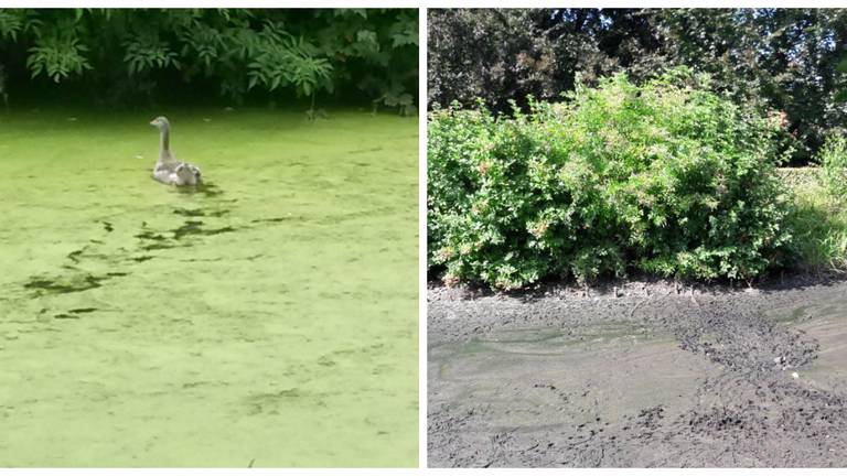 De natte en droge Kasteelgracht in Oploo (Foto Staf Jennes)