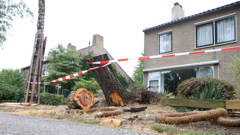 Omroep Brabant