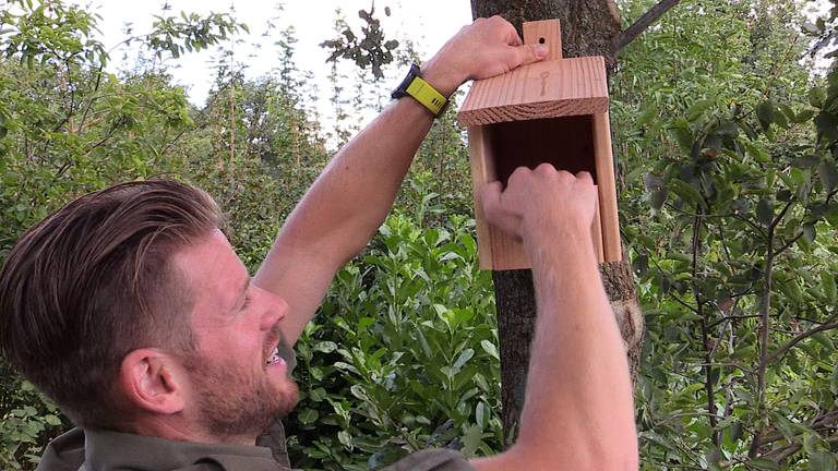 Een van de nestkasten