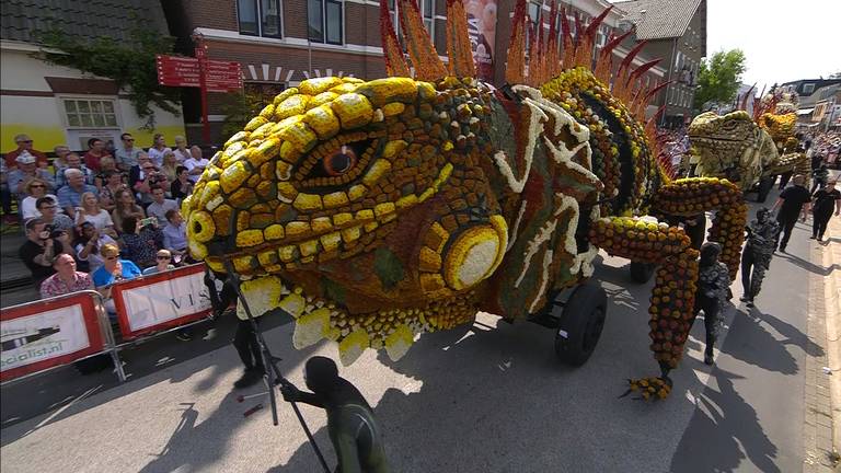 De winnaar van Bloemencorso Zundert vorig jaar. (Archieffoto)