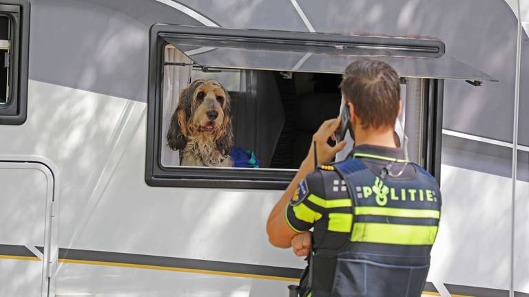 Deze hond wist te ontsnappen. (foto: FPMB Erik Haverhals)