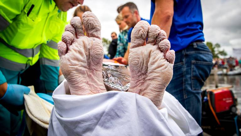 De voeten van Maarten van der Weijden na zijn tocht (foto: ANP)
