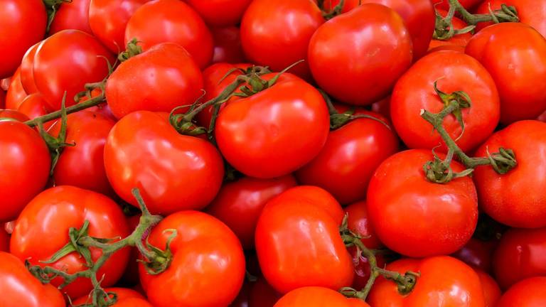 Een tomatenkweker in Beek en Donk heeft 'bewust het risico genomen dat er ongelukken zouden gebeuren'.