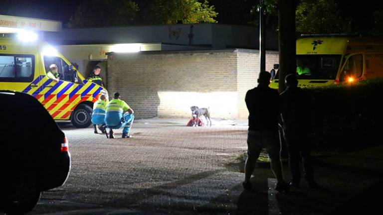 Ambulancebroeders mogen van de hond niet in de buurt van de gewonde baas komen. (Foto: Berry van Gaal SQ Vision Mediaprodukties)