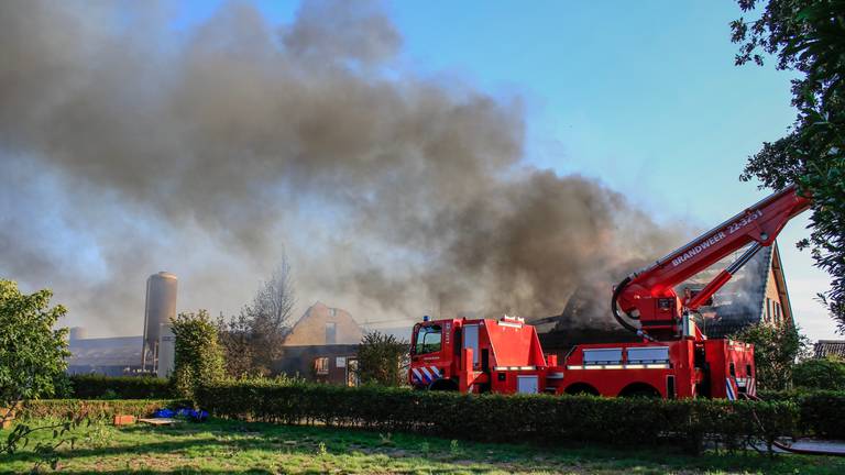 Omroep Brabant