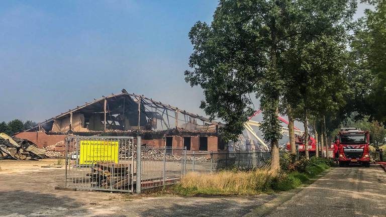 India Bonus hebzuchtig Houthandel en -zagerij in Beek en Donk door brand verwoest, paarden in stal  ernaast gered - Omroep Brabant