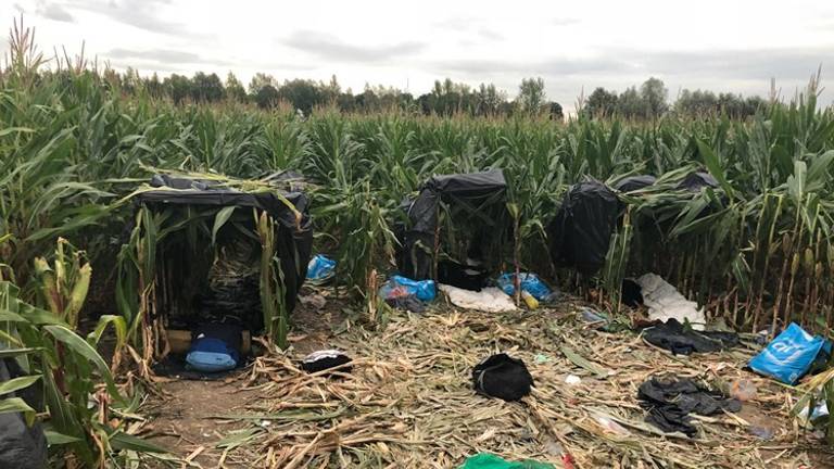 De Albanezen bivakkeerden in een maisveld bij de parkeerplaats