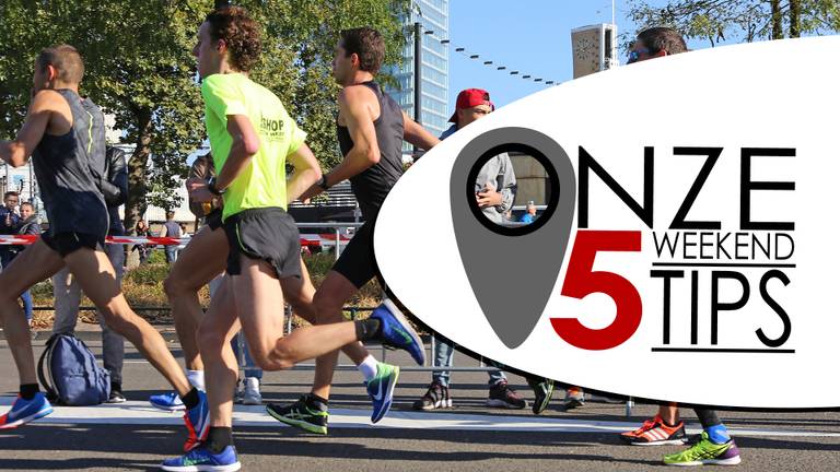 Hardlopen tussen de ooievaars
