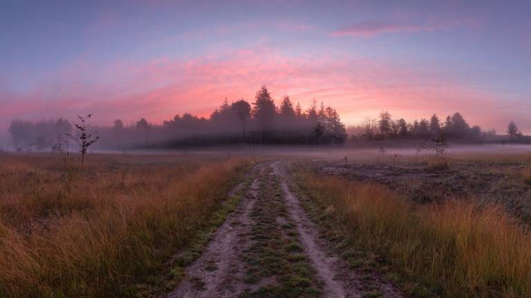 Goirle (Foto: Harold Spierenburg)