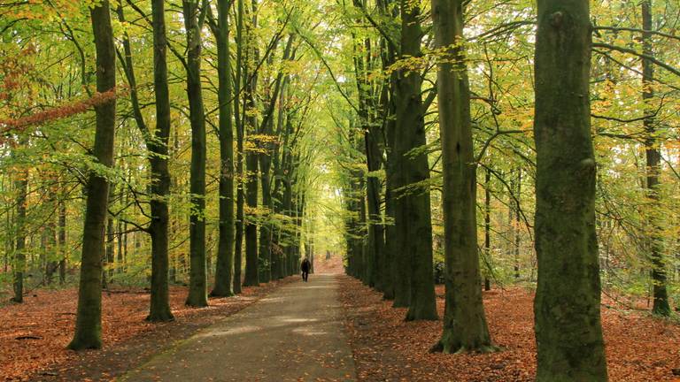'Mooi weer om er op uit te trekken'. (Foto: Martha Kivits)