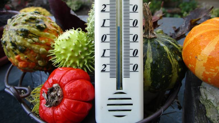 Weer is een (dag)record gebroken. (Foto: Margreet van Vianen)