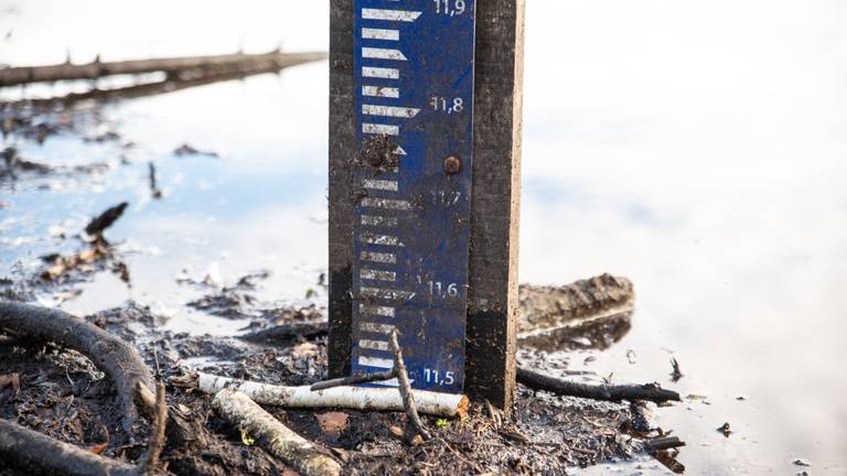 Een peilschaal geeft aan hoe hoog het water staat (archieffoto: Kevin Cordewener).