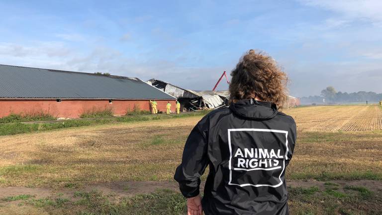 Dierenactivist Erwin Vermeulen bij de afgebrande stal in Asten-Heusden.