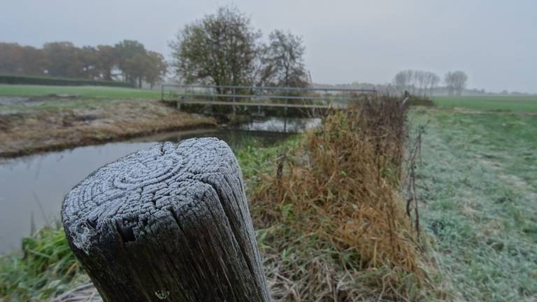 Een fris Stiphout. (Foto: Willem van Nunen)