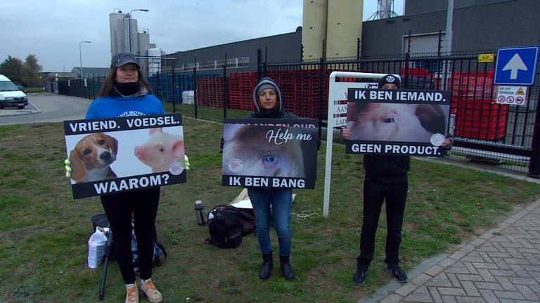 Al vroeg stonden de eerste activisten voor de poort van het vleesverwerkingsbedrijf.