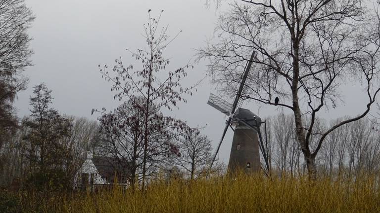 Een druilerige ochtend in Nuenen. (Foto: Willem van Nunen)