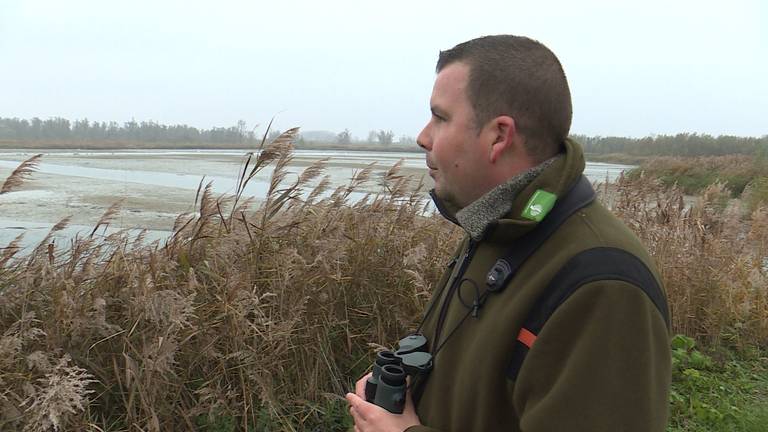 Kreken en beken in de Biesbosch staan droog zegt Thomas van der Es