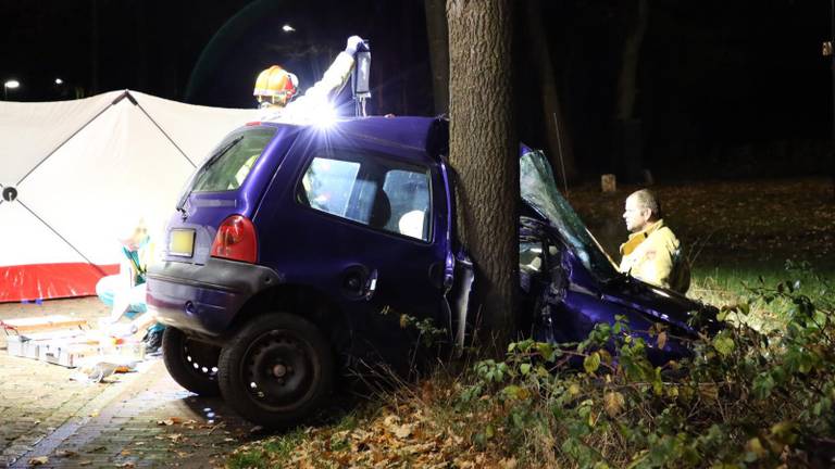 Twingo knalt tegen boom, man overlijdt ter plekke (Foto: Berry van Gaal)