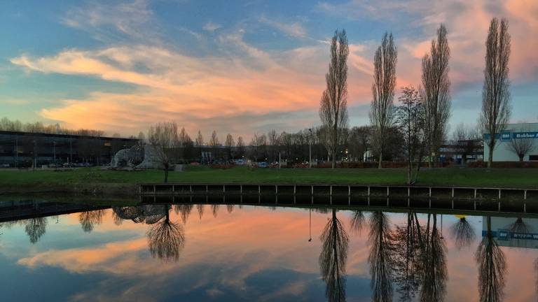 De parelmoerwolk bij Omroep Brabant in Eindhoven. (foto: Karin Kamp)