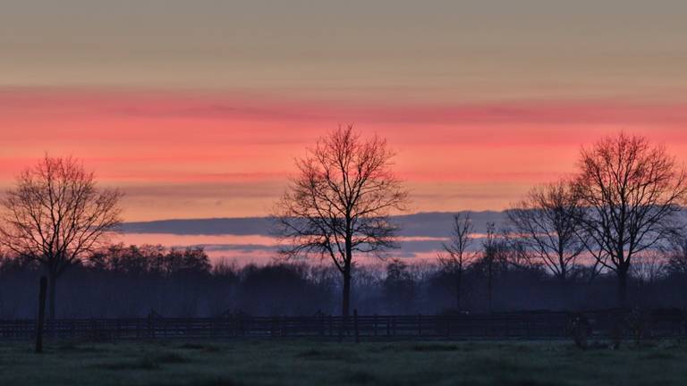 Foto: Astrid Windmeijer-Korsten