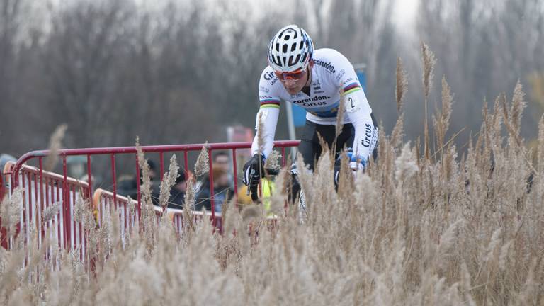 Mathieu van der Poel tijdens de Scheldecross. Foto: OrangePictures.