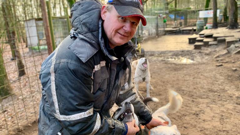 Marc uit Heeze heeft maar liefst 34 husky's