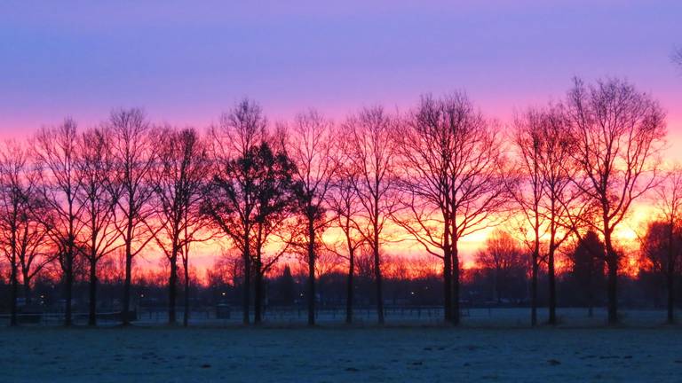 De zonsopkomst in Oirschot (Foto: Peter van der Schoot)
