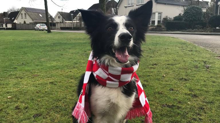 Zelfs hond Buddy kreeg een eigen sjaal. (foto: Raymond Merkx).