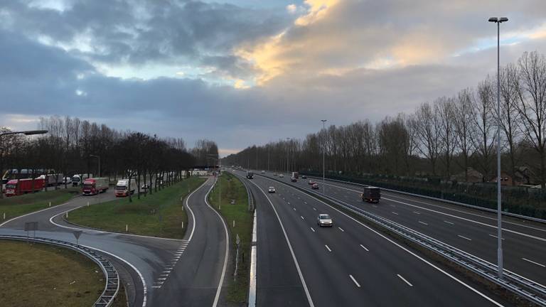 De iconische populieren langs de A2