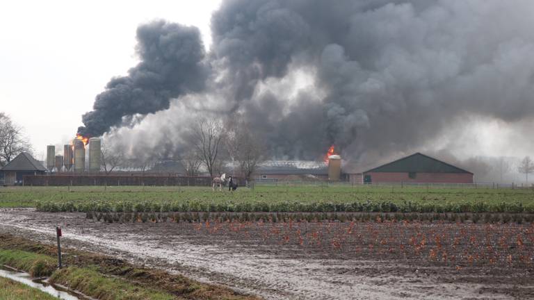 Omroep Brabant