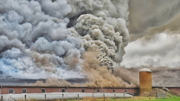 Grote stalbrand in Biezenmortel (Foto: Toby de Kort)