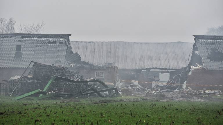 De ravage na de stalbrand is enorm (foto: Toby de Kort)