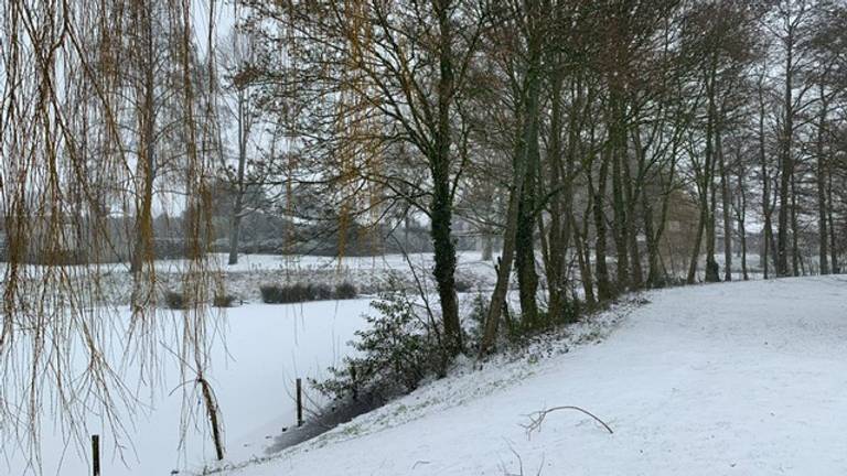 Een park in Oudenbosch kleurt wit (Foto: Omroep Brabant)