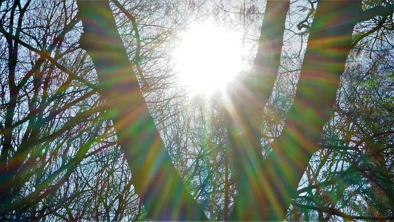 Het lijkt wel lente (foto: Toon Boons, Tilburg)