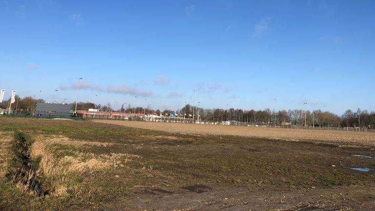 Op deze plek in Dinteloord moet in de toekomst woonruimte voor 250 arbeidsmigranten komen. (Foto: Edwin Vossen)