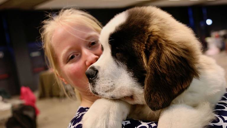 Hoog knuffelgehalte tijdens Dogshow Eindhoven 2019.