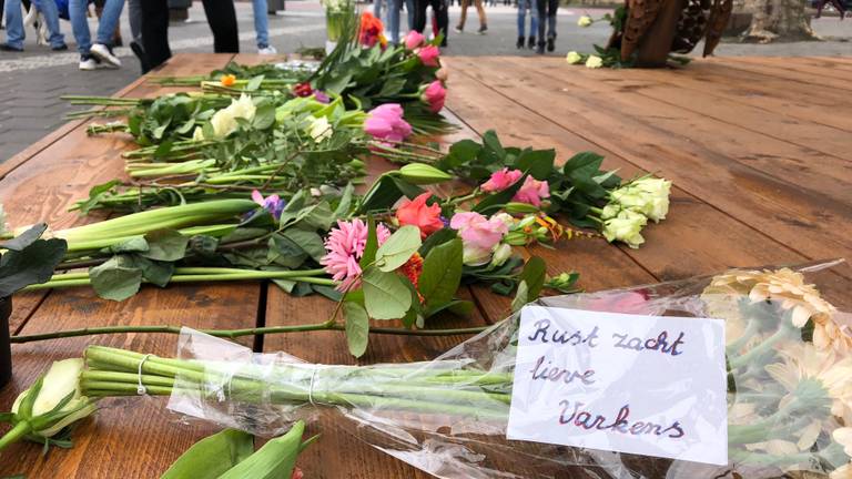 Zo'n veertig mensen legden bloemen bij  het tijdelijke kunstwerk van een varken.